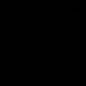 Meet your Posher, Mimi